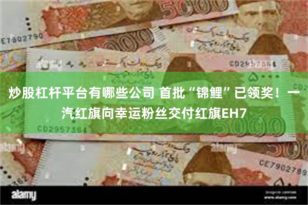 炒股杠杆平台有哪些公司 首批“锦鲤”已领奖！一汽红旗向幸运粉丝交付红旗EH7