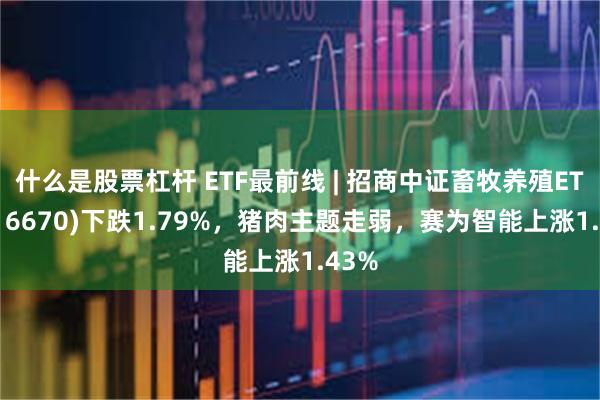 什么是股票杠杆 ETF最前线 | 招商中证畜牧养殖ETF(516670)下跌1.79%，猪肉主题走弱，赛为智能上涨1.43%