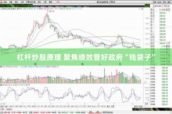 杠杆炒股原理 聚焦绩效管好政府“钱袋子”