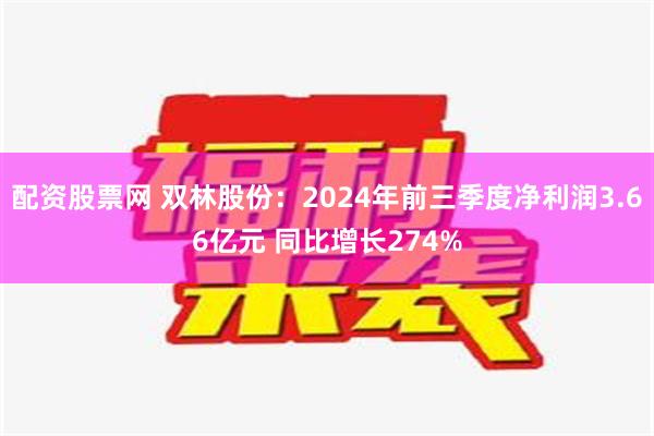 配资股票网 双林股份：2024年前三季度净利润3.66亿元 同比增长274%