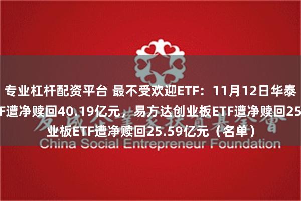 专业杠杆配资平台 最不受欢迎ETF：11月12日华泰柏瑞沪深300ETF遭净赎回40.19亿元，易方达创业板ETF遭净赎回25.59亿元（名单）