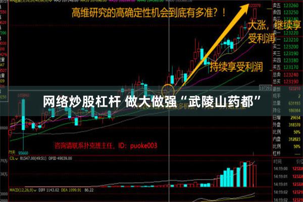 网络炒股杠杆 做大做强“武陵山药都”