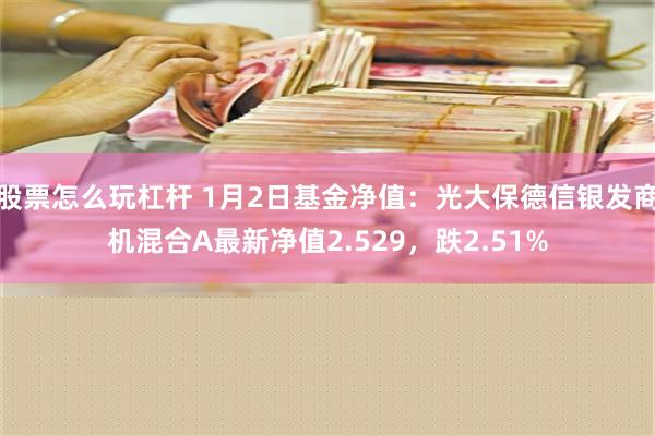 股票怎么玩杠杆 1月2日基金净值：光大保德信银发商机混合A最新净值2.529，跌2.51%