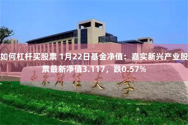 如何杠杆买股票 1月22日基金净值：嘉实新兴产业股票最新净值3.117，跌0.57%