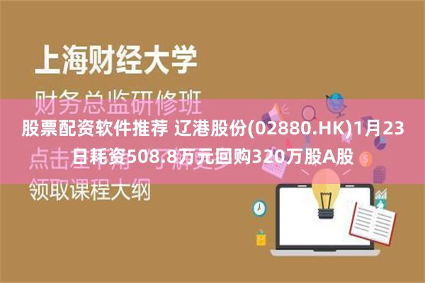 股票配资软件推荐 辽港股份(02880.HK)1月23日耗资508.8万元回购320万股A股